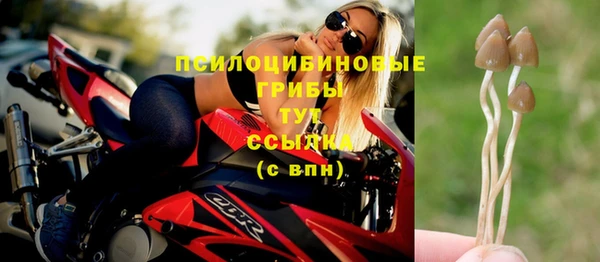 дурь Гусиноозёрск