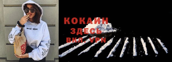 дурь Гусиноозёрск