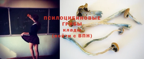 молекула духа Горнозаводск