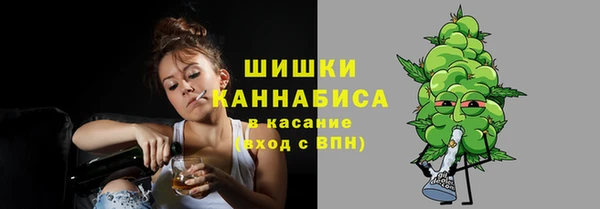 молекула духа Горнозаводск
