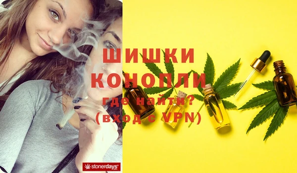дурь Гусиноозёрск
