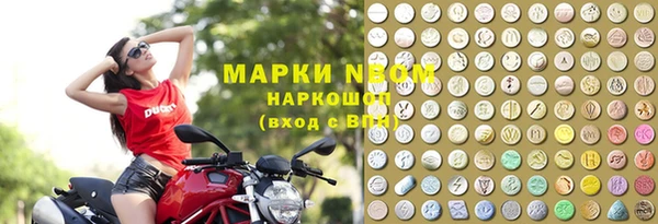 прущие грибы Горно-Алтайск