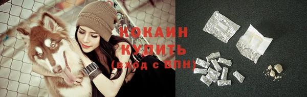 прущие грибы Горно-Алтайск