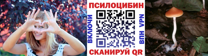 Псилоцибиновые грибы MAGIC MUSHROOMS  Купить где  Лермонтов 